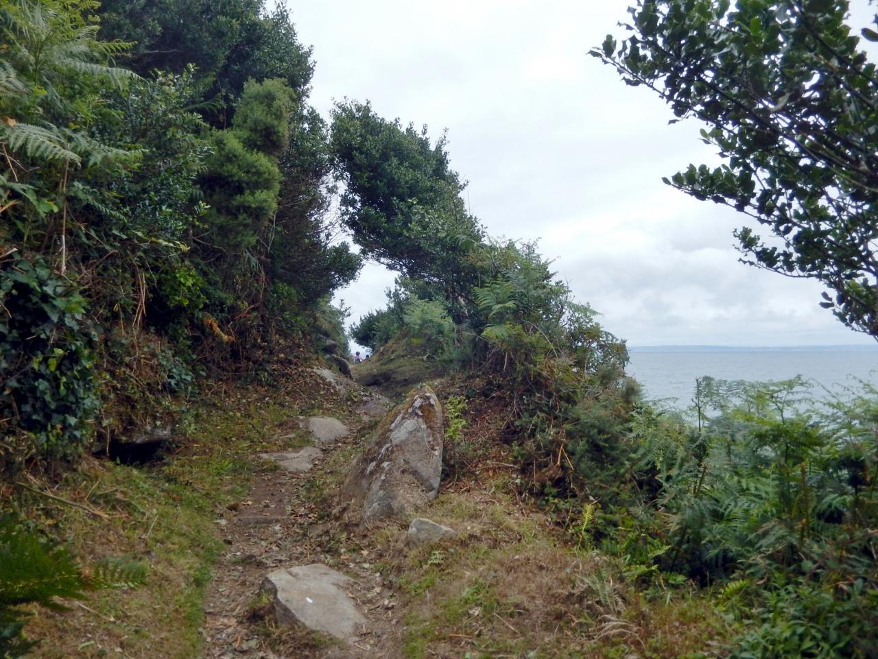 Chemin cotier en direction la pointe de la Jument