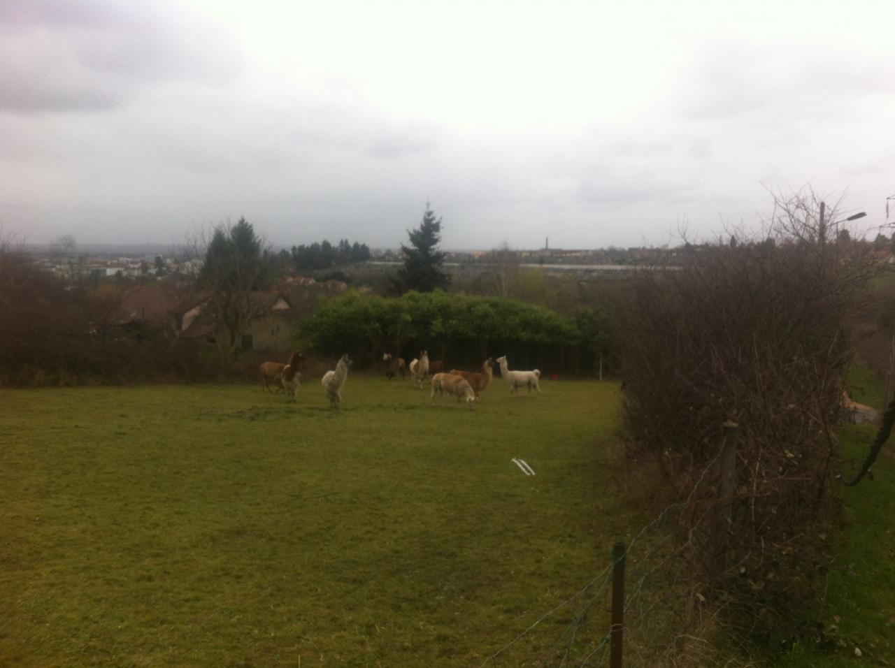 Parc de la Louvière