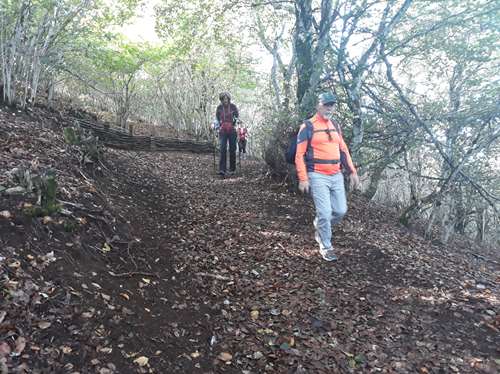 Randonnée dans le Puy de Dôme