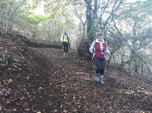 Randonnée dans le Puy de Dôme