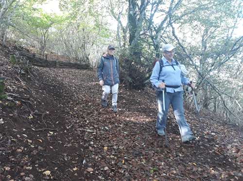 Randonnée dans le Puy de Dôme