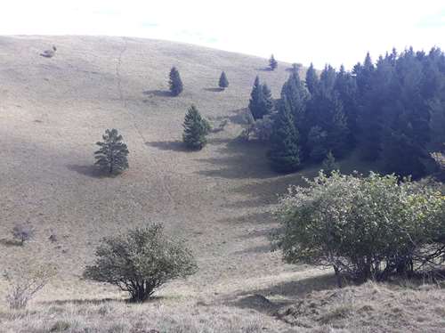 Randonnée dans le Puy de Dôme