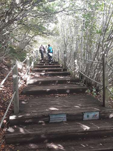 Randonnée dans le Puy de Dôme