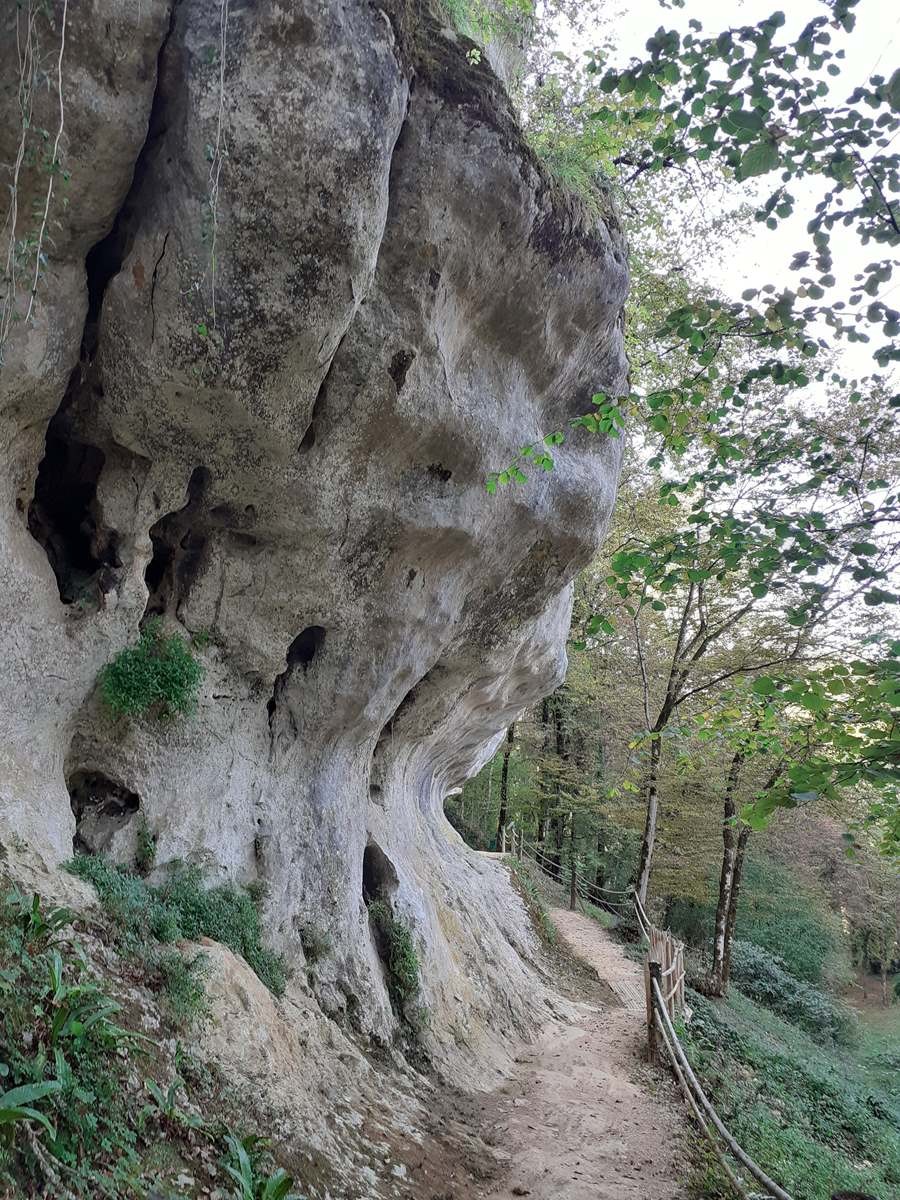 Vendredi 13: Saint Léon sur Vézère, visite et canoë