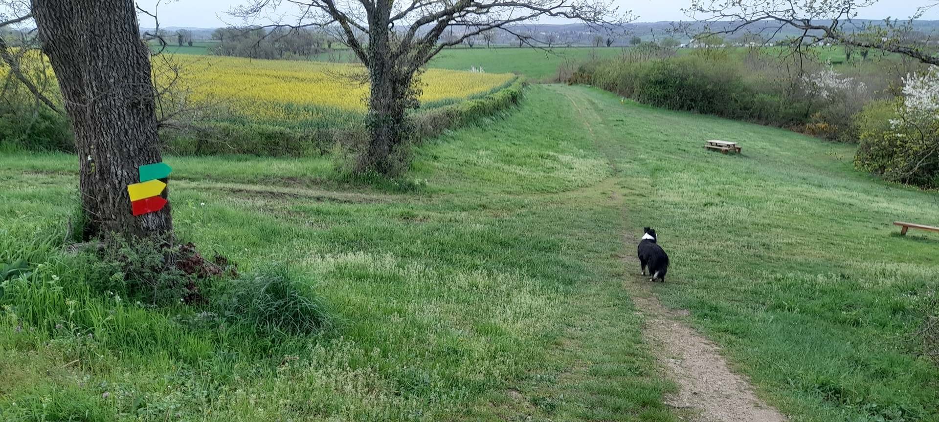 Campagne bourbonnaise