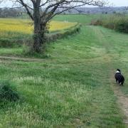 Campagne bourbonnaise