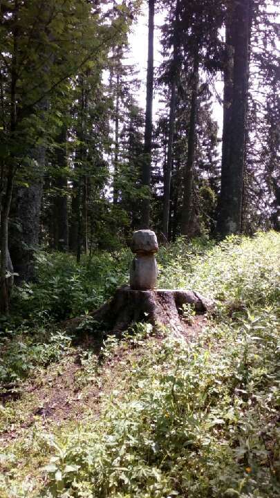 EURO NORDIC WaLK VERCORS  Dimanche 10 Juin 2018