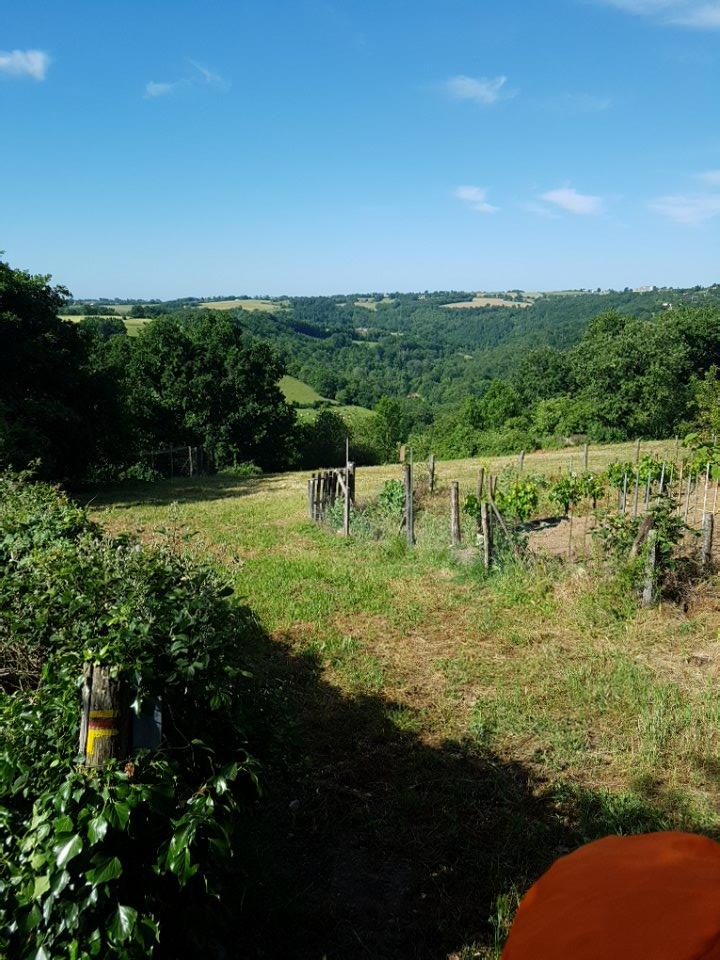 gorges du viaur