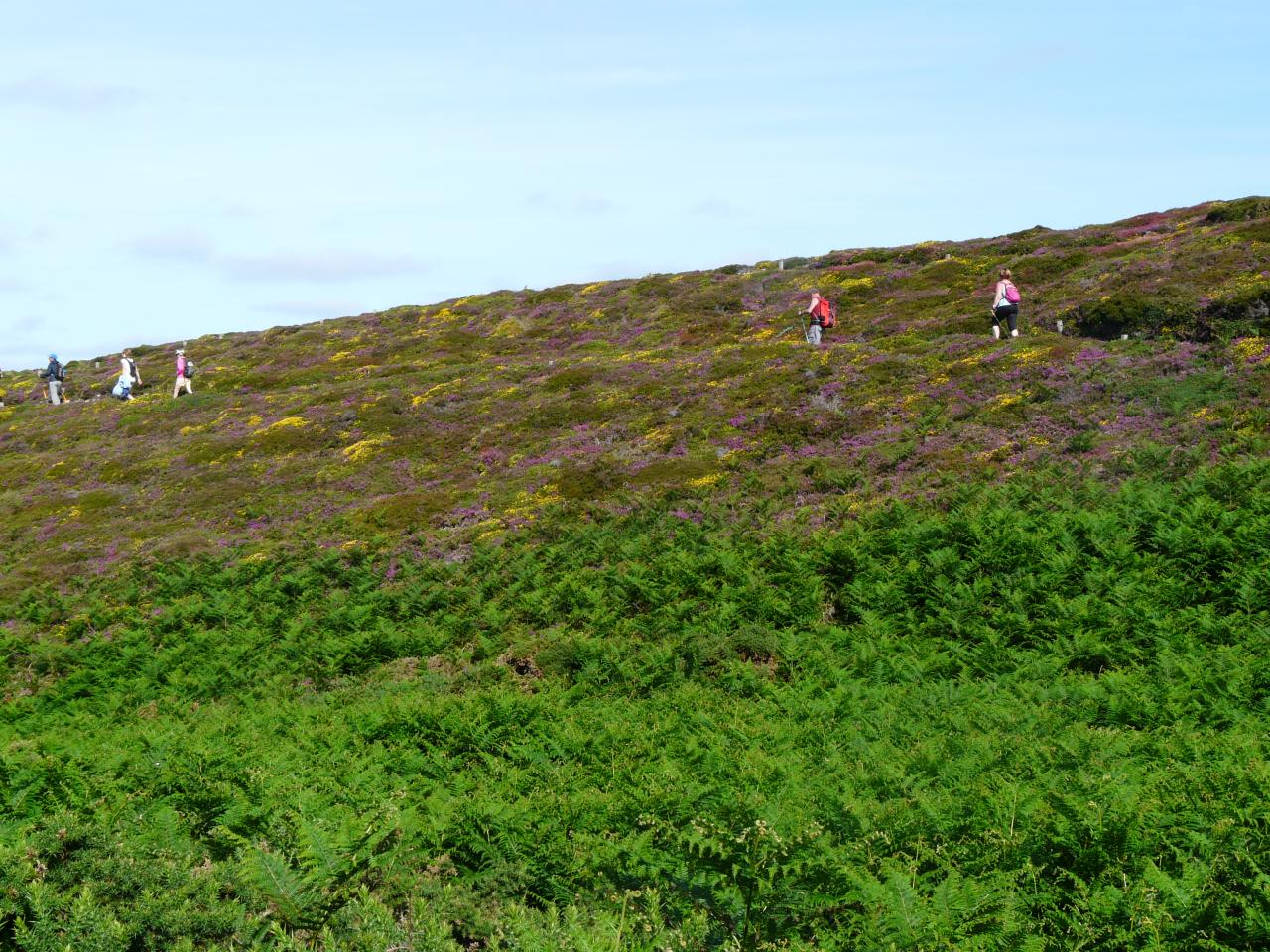 denivelé dans la lande