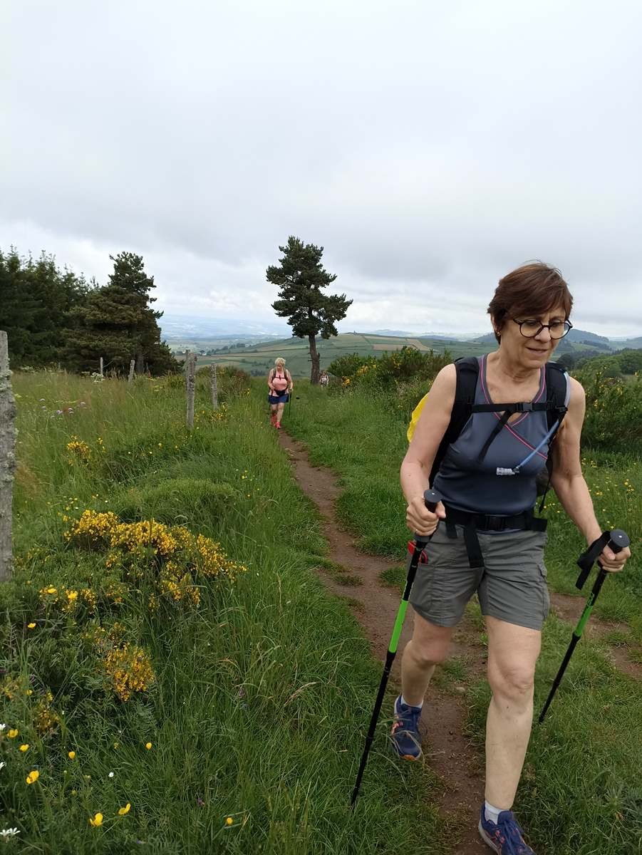 11 Juin: Quatrième étape de Arquejols à L'Herm par Pradelles et Langogne