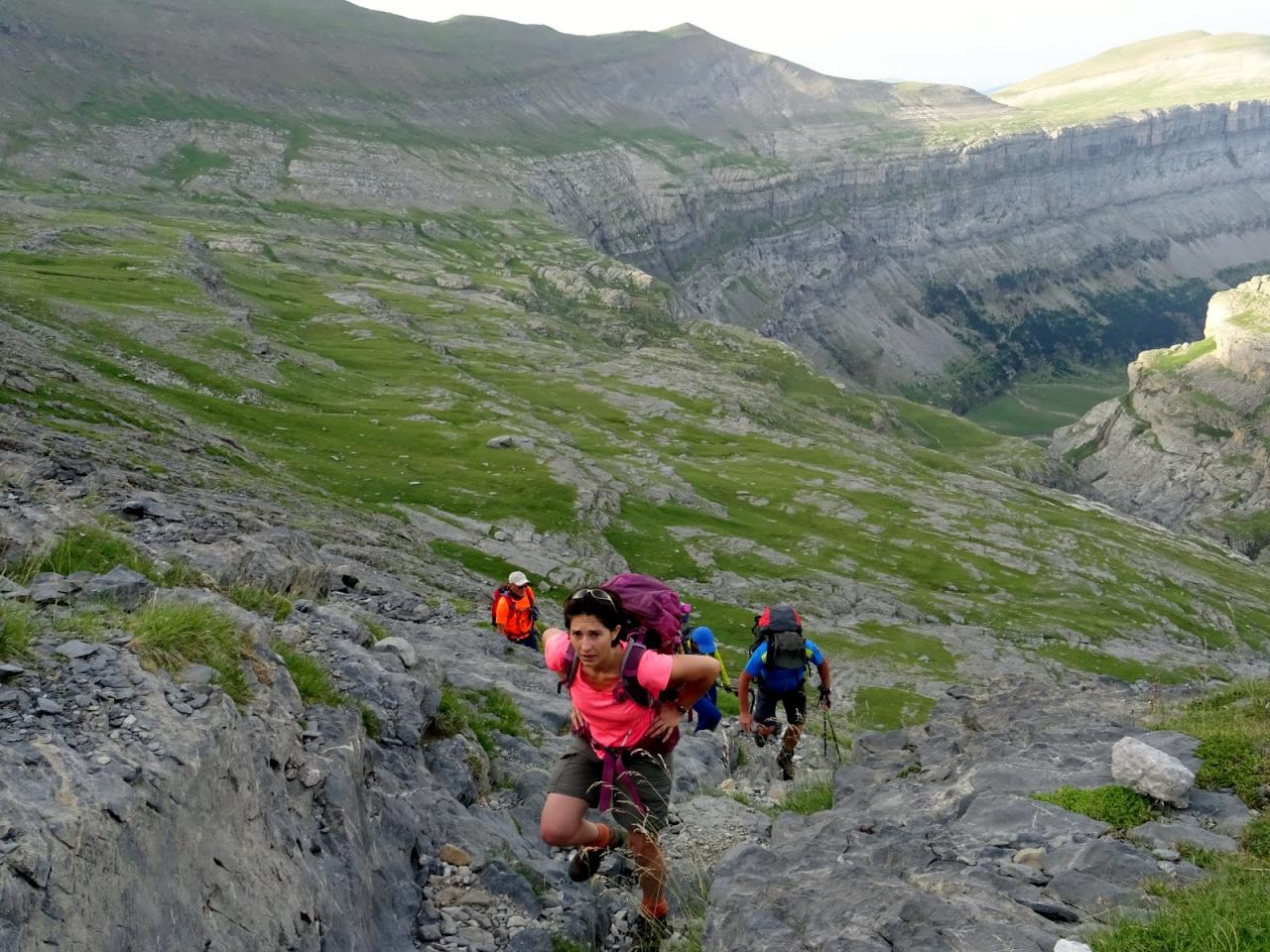 PYRENEES