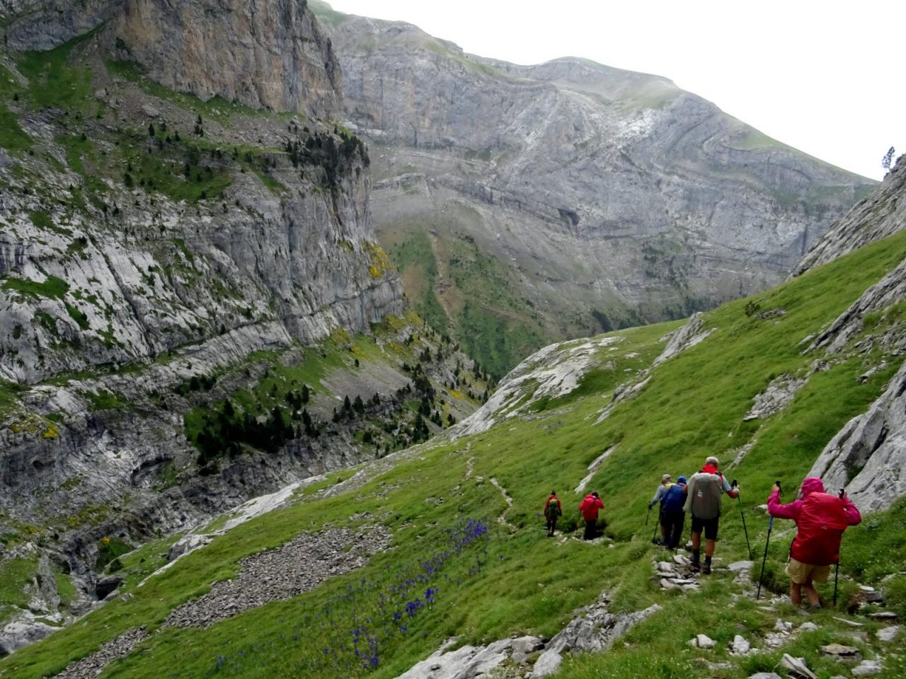 PYRENEES