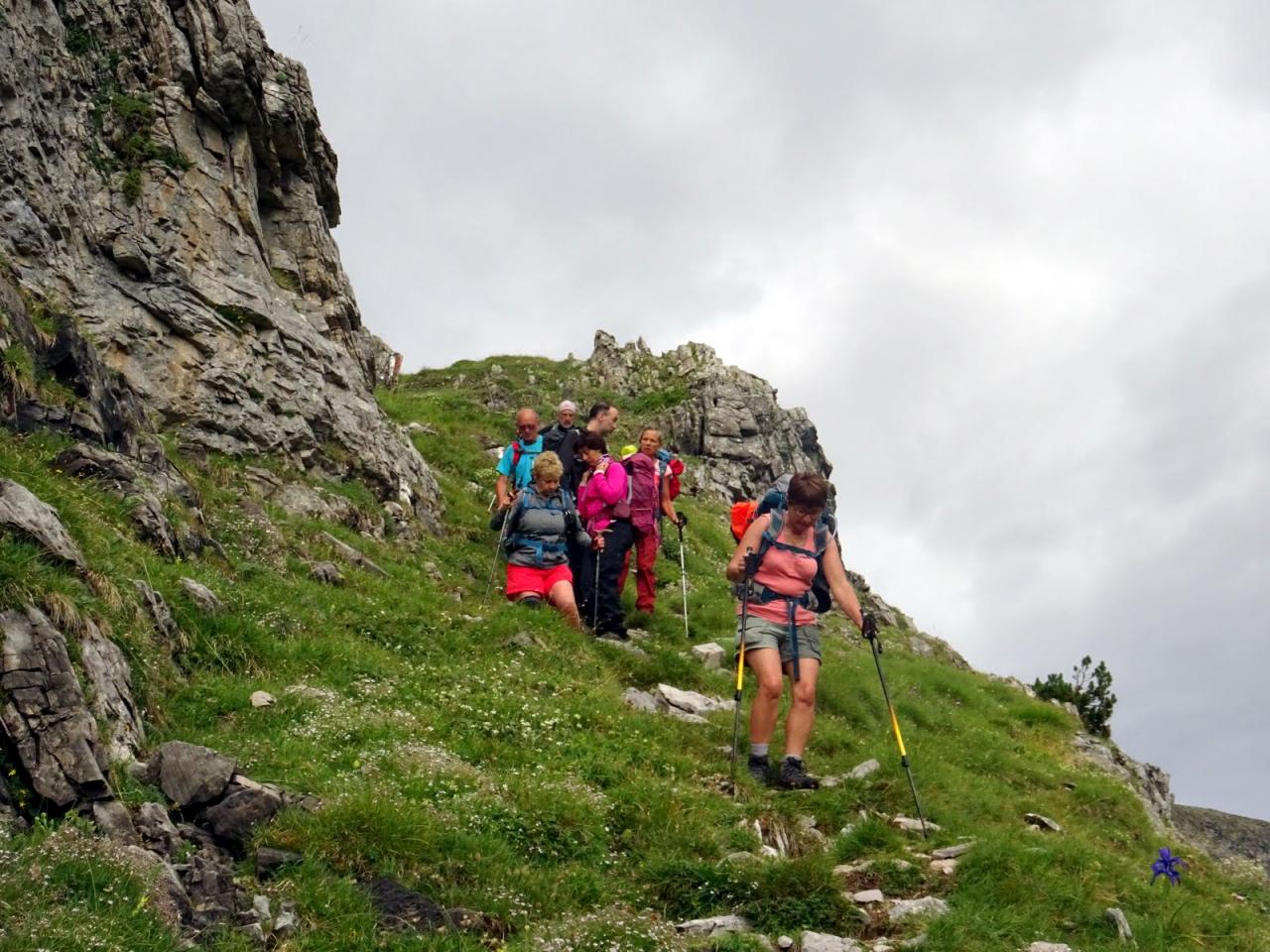 PYRENEES