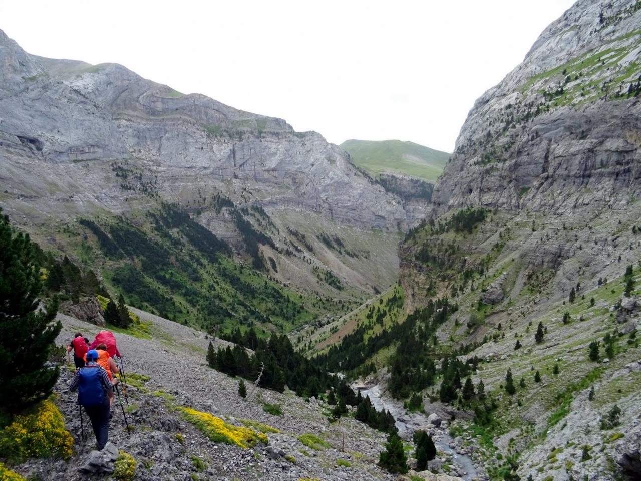 PYRENEES