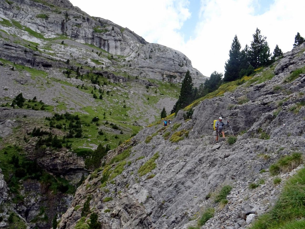 PYRENEES