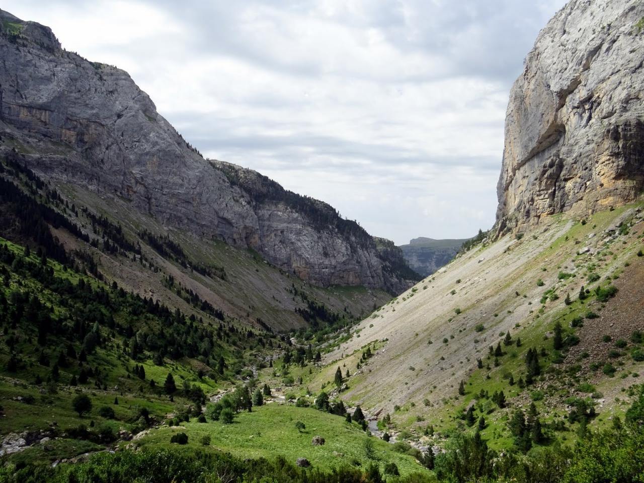 PYRENEES
