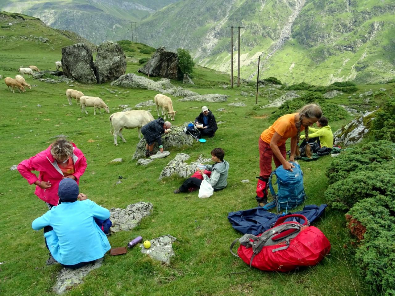 PYRENEES