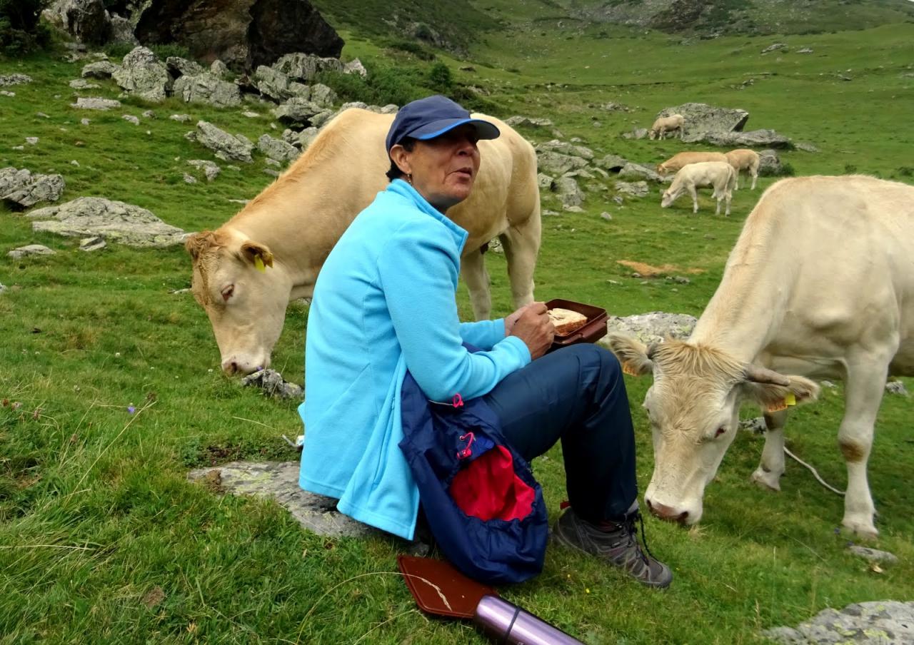 PYRENEES