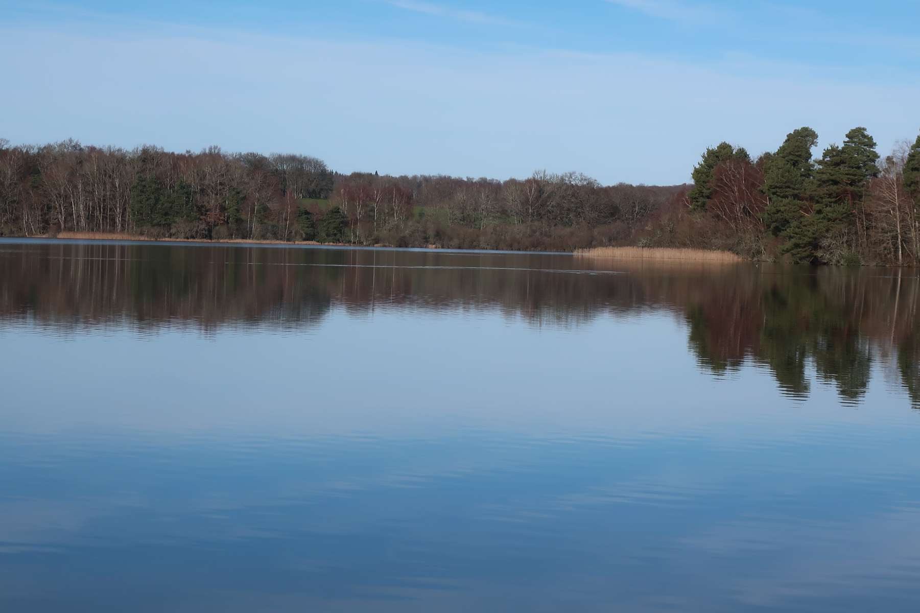 Etang de Chancelade