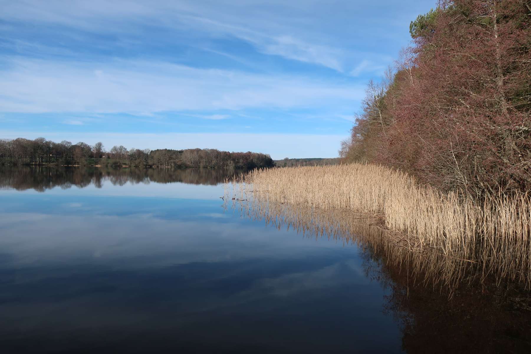 Etang de Chancelade