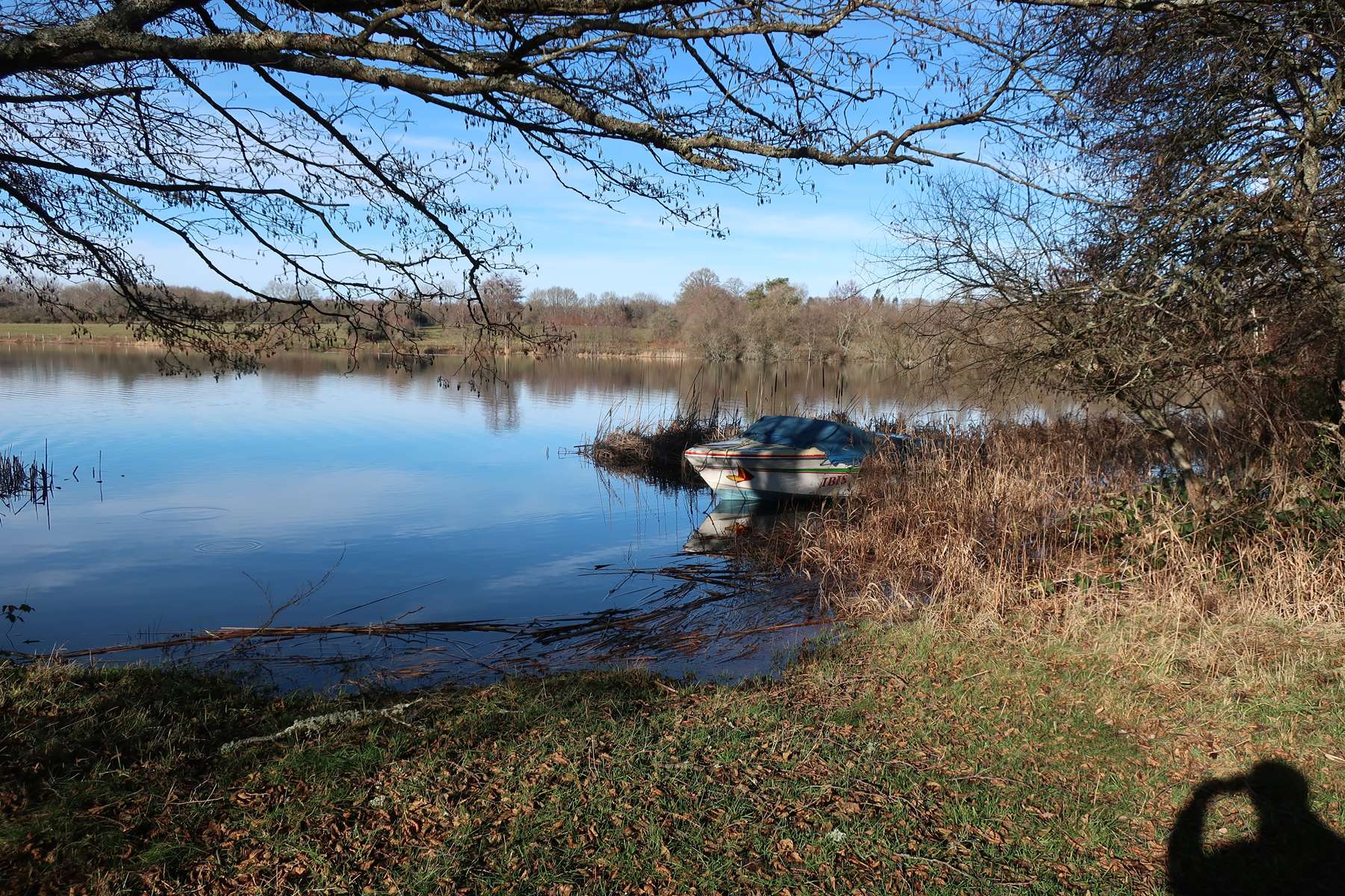 Etang de Chancelade