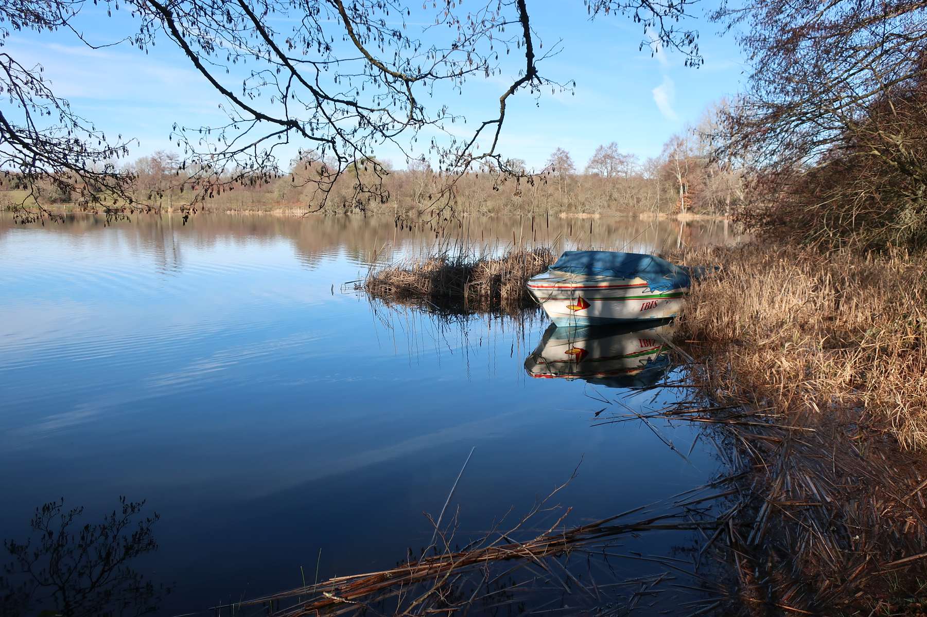 Etang de Chancelade