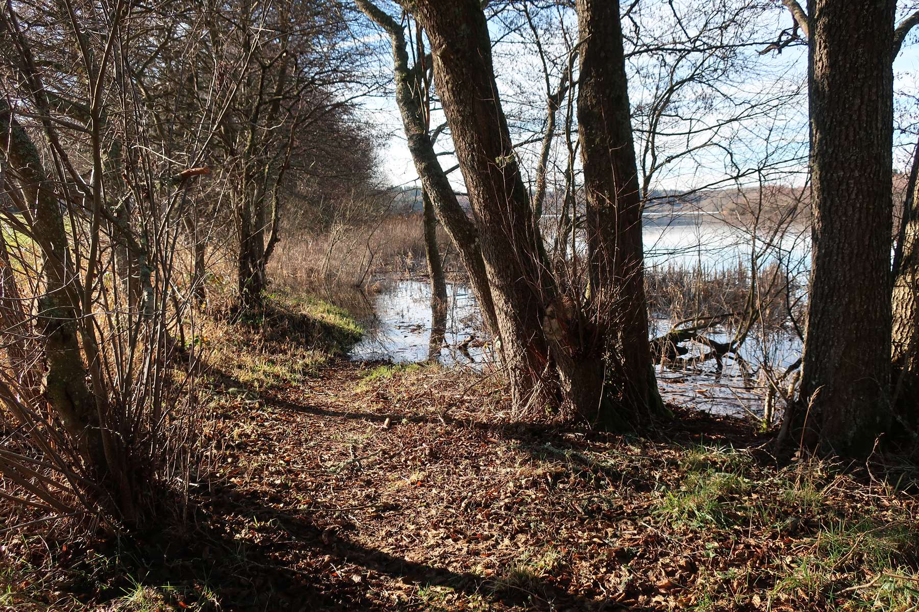 Etang de Chancelade