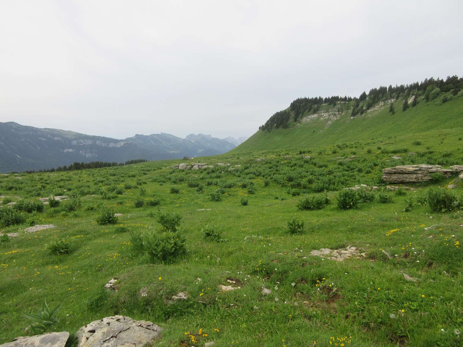 EURO NORDIC WaLK VERCORS  Dimanche 10 Juin 2018