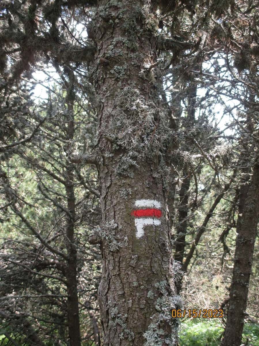 15 Juin: Huitième étape du Bleymard au Pont-de-Montvert par le Mont Lozère (1699m)