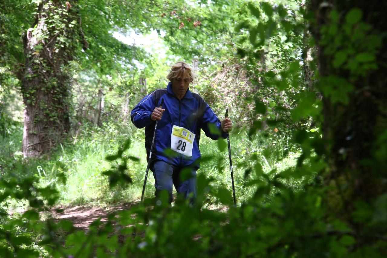 Les Réaux - le 1er Juin 2014