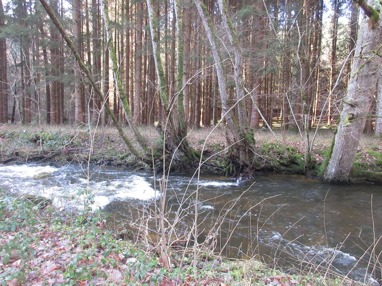  Vallée de la Saunade (LANDOGNE)