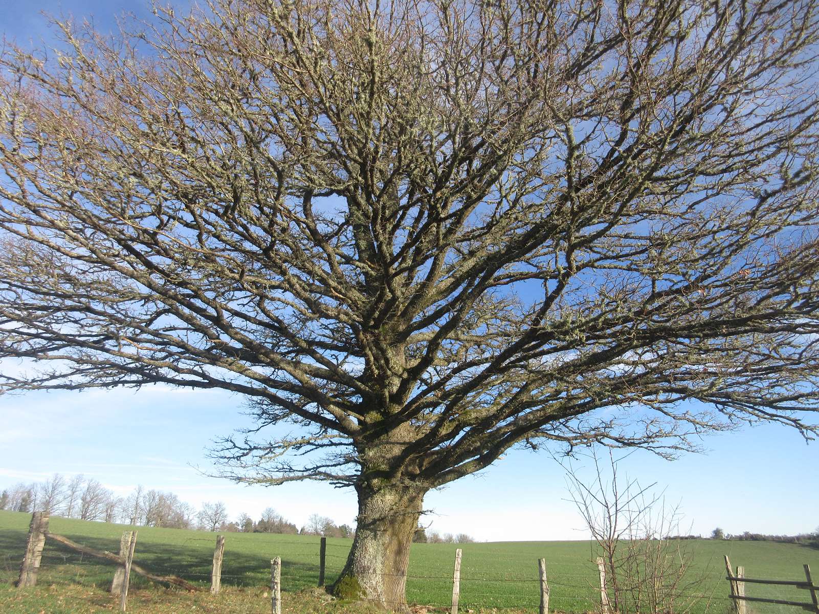  Vallée de la Saunade (LANDOGNE)