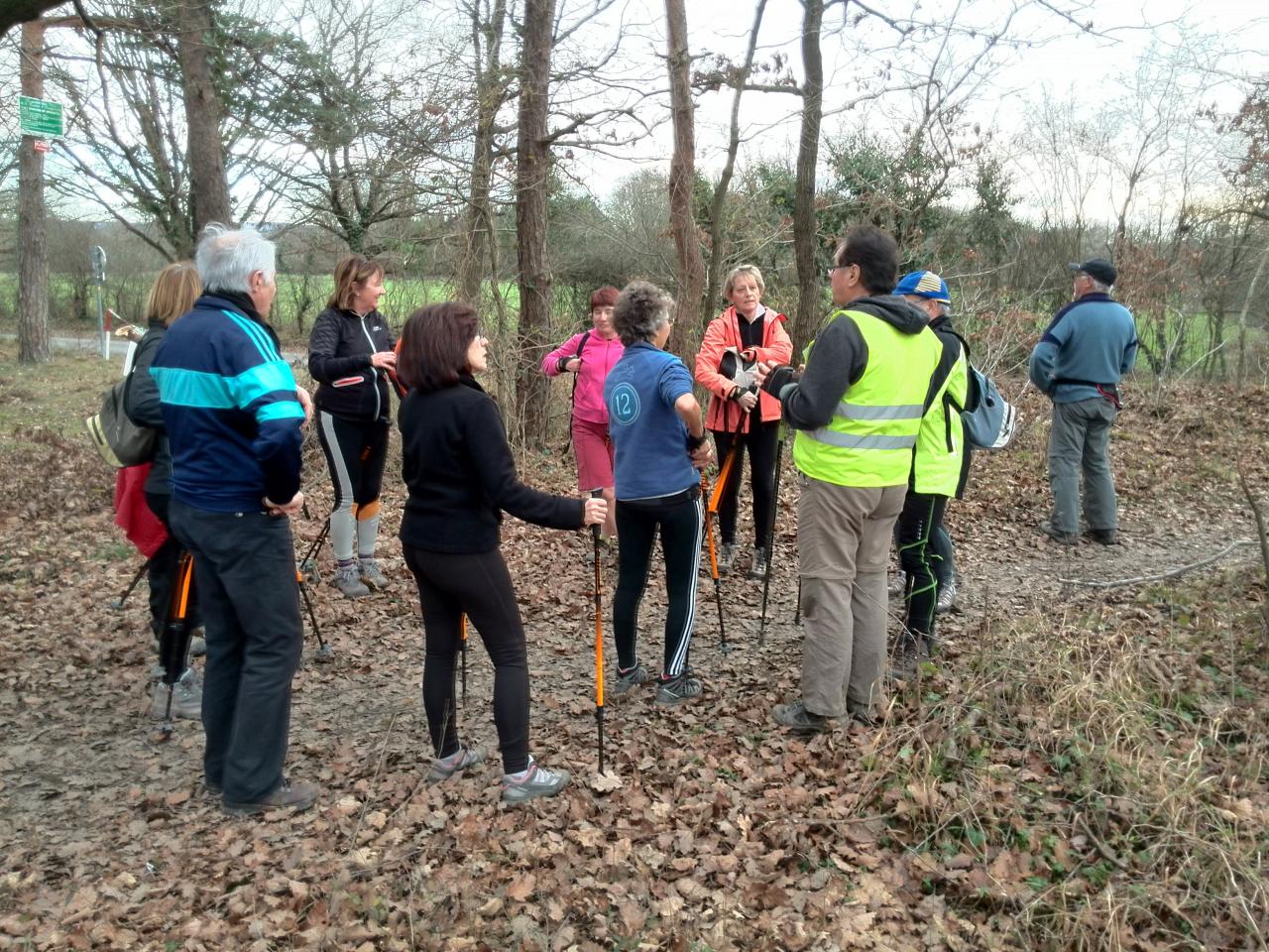 Bois de la Brosse le 13 Janvier 2015