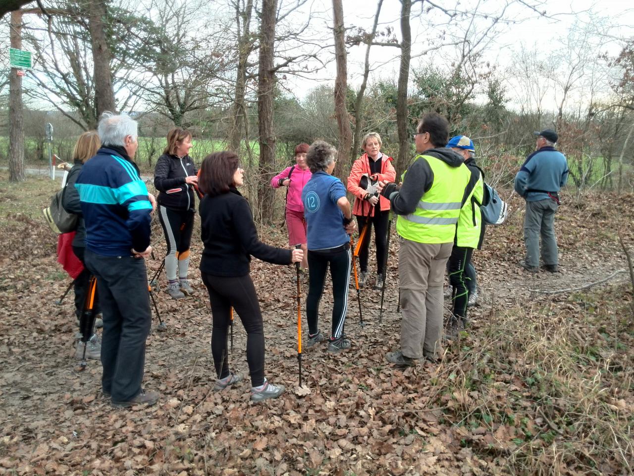 Bois de la Brosse le 13 Janvier 2015