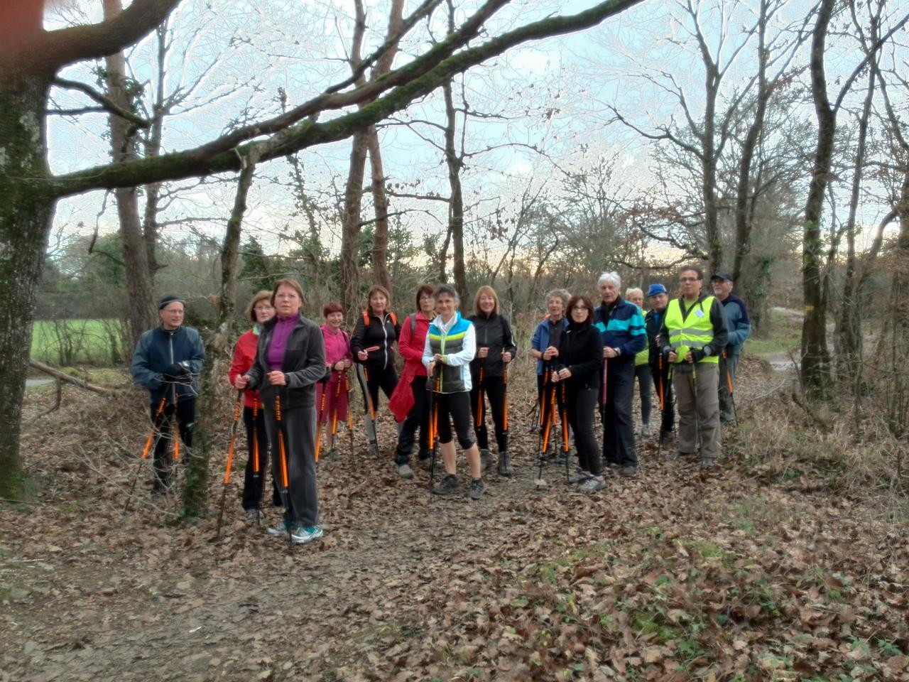 Bois de la Brosse le 13 Janvier 2015