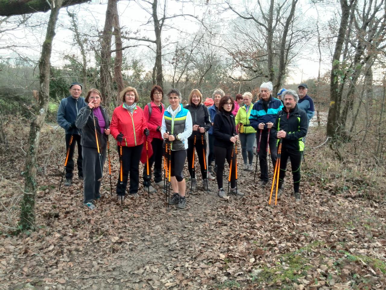 Bois de la Brosse le 13 Janvier 2015