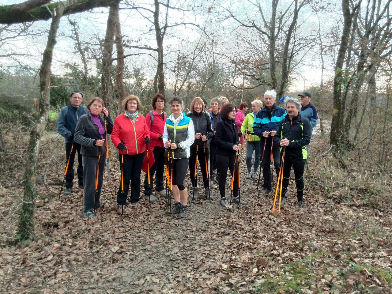 Bois de la Brosse le 13 Janvier 2015