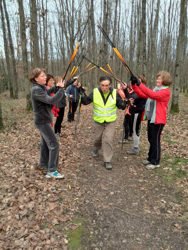 Bois de la Brosse le 13 Janvier 2015