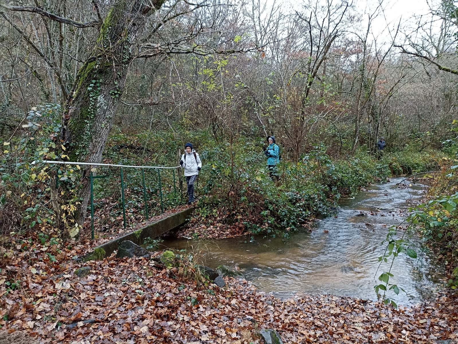 Petit pont