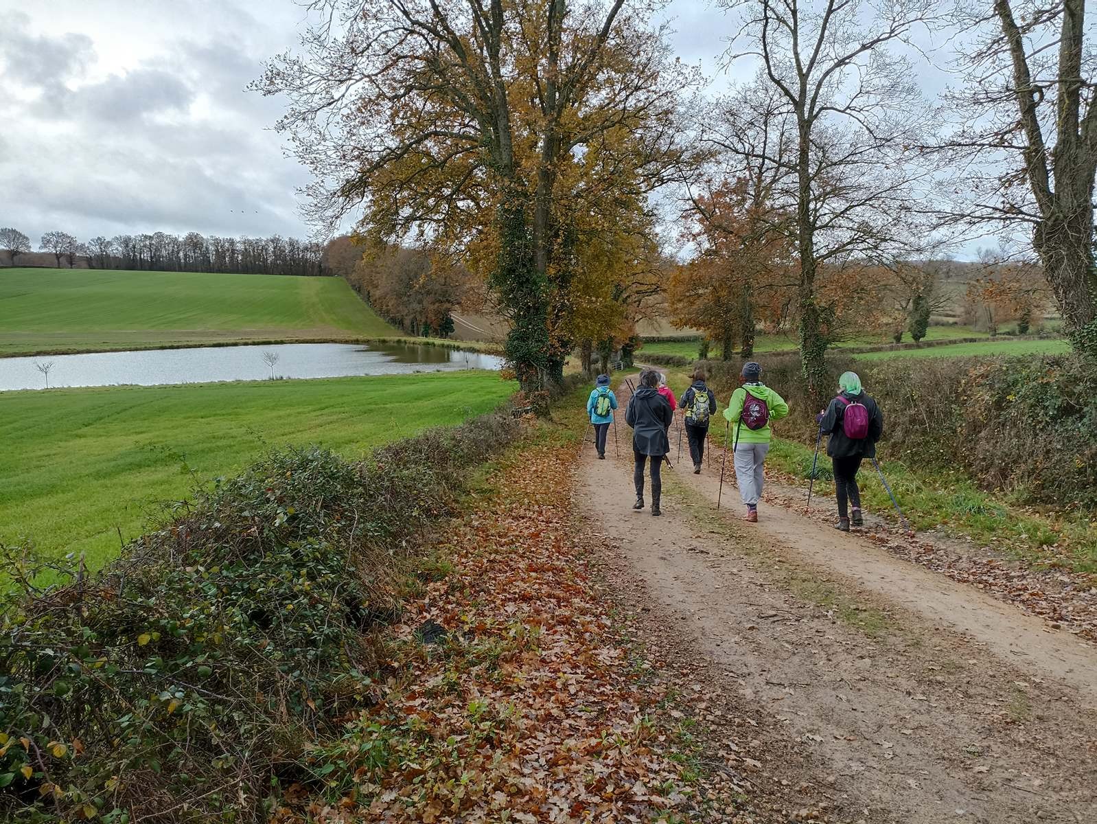 Beau paysage d'automne