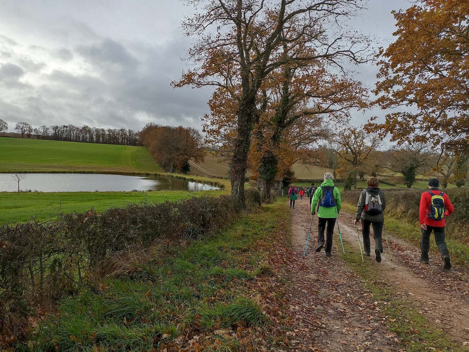 Beau chemin en bordure d'étang