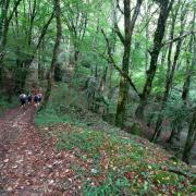 De Cazoules à Salignac Eyvigues