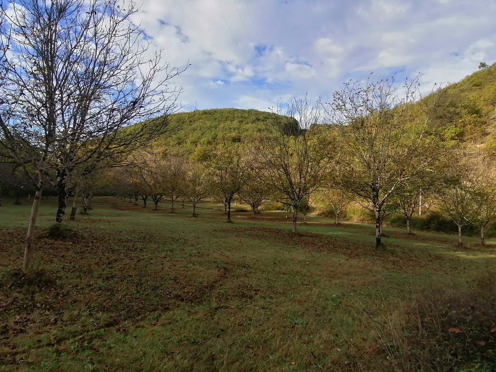 De Cazoules à Salignac Eyvigues