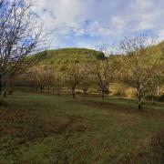 De Cazoules à Salignac Eyvigues