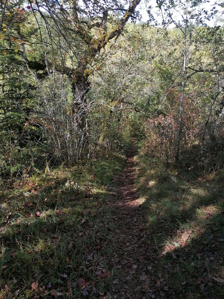 De Cazoules à Salignac Eyvigues