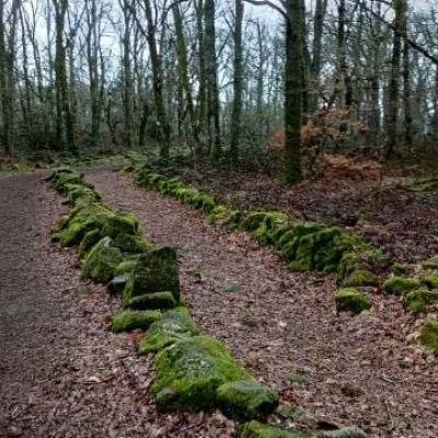 Chemin typique