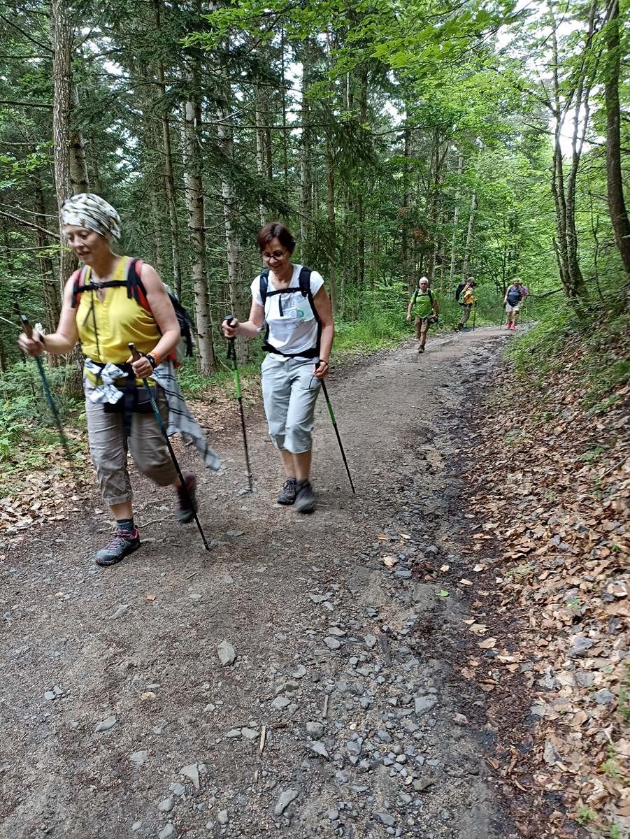 9 Juin: Deuxième étape du Monastier sur Gazeille à Bargettes