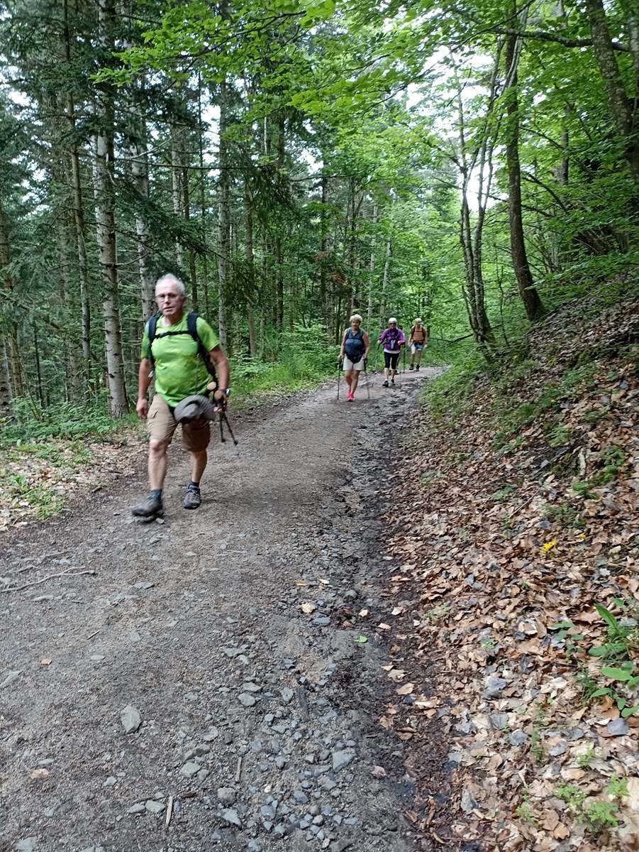 9 Juin: Deuxième étape du Monastier sur Gazeille à Bargettes