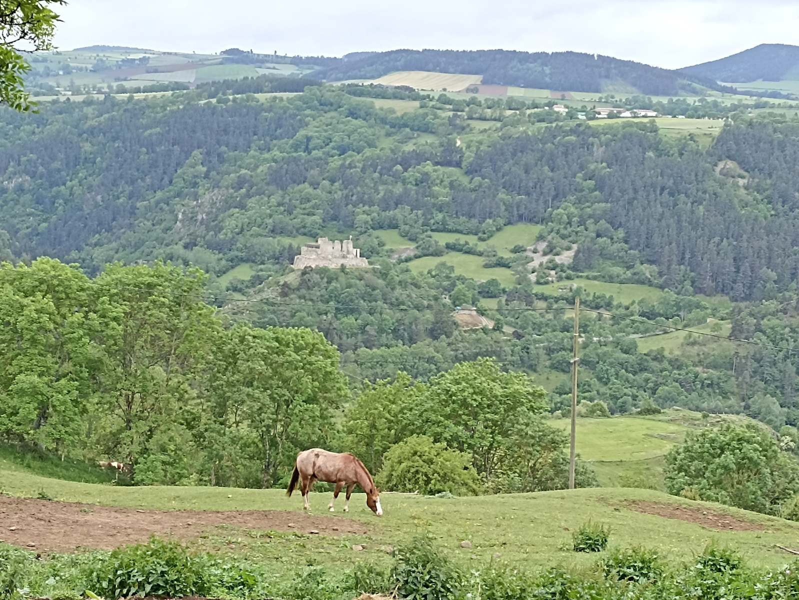 9 Juin: Deuxième étape du Monastier sur Gazeille à Bargettes