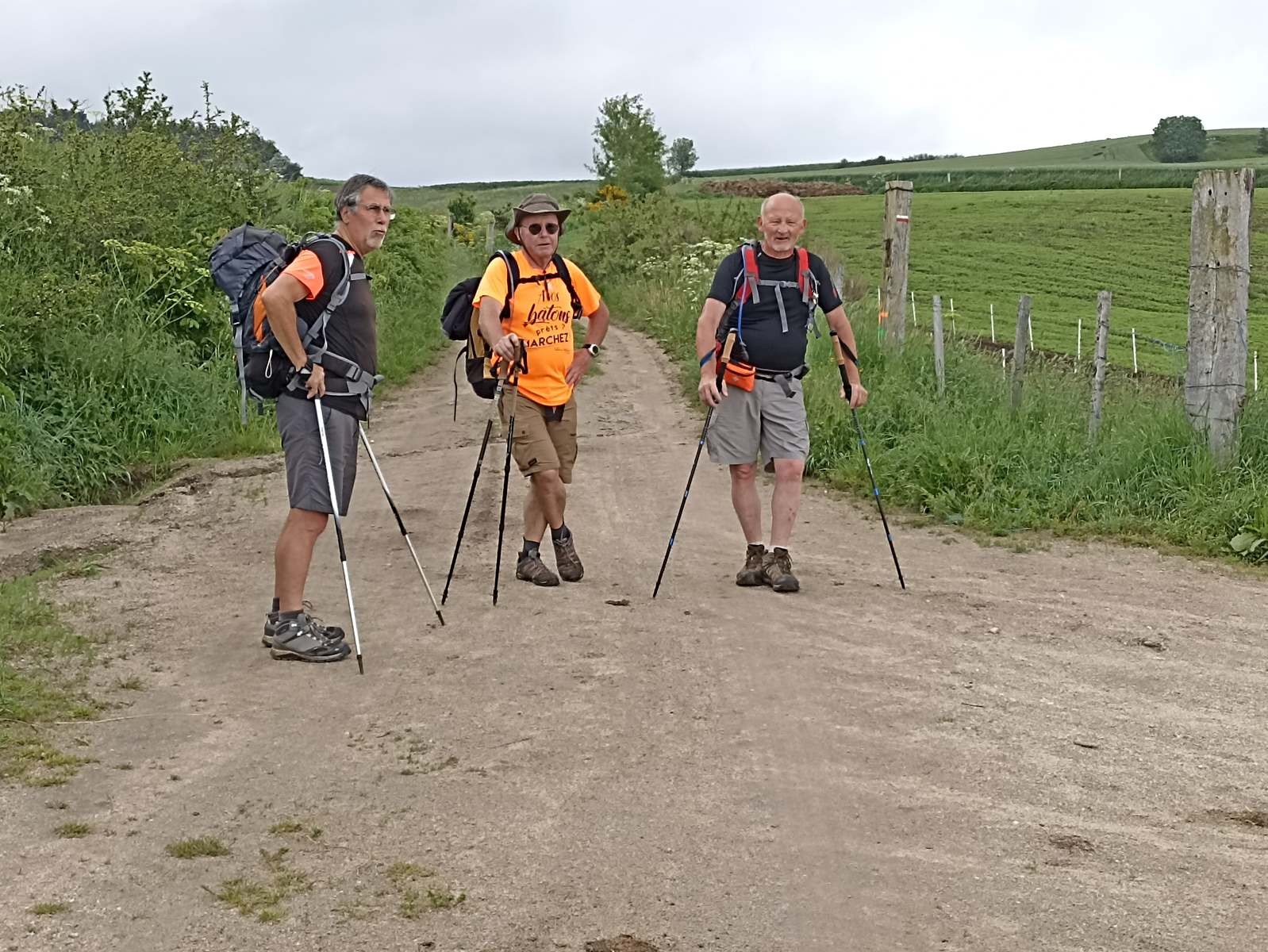 11 Juin: Quatrième étape de Arquejols à L'Herm par Pradelles et Langogne